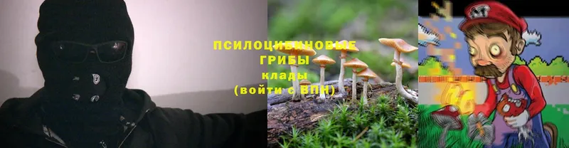 даркнет какой сайт  Рыльск  Галлюциногенные грибы MAGIC MUSHROOMS 